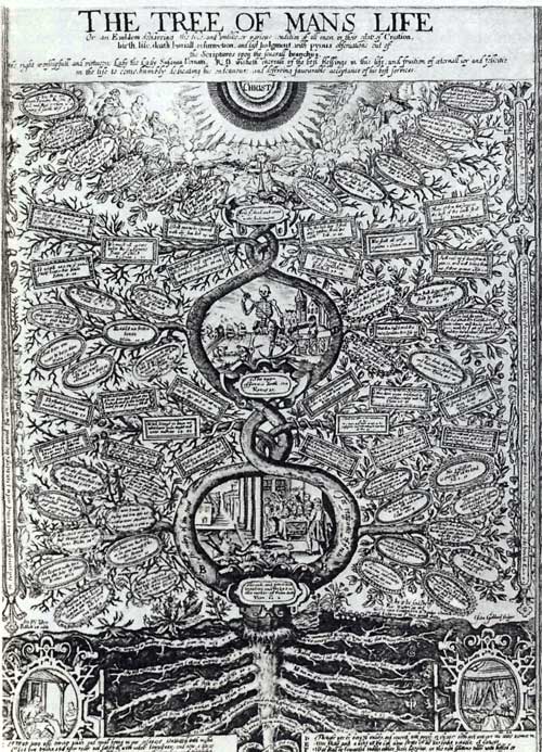 Древо человеческой жизни. Гравюра Дж. Годдарда. 1649. Лондон, Британский музей