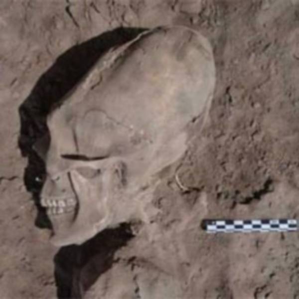 вытянутые черепа, находки в Мексике
